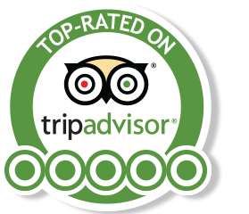 tripadvisor-link